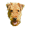 Airedale Terrier Face