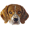 Beagle Face