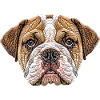 Visage de bouledogue anglais