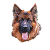 German Shepherd Face
