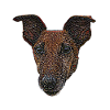 Smooth Fox Terrier Face