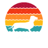 Dachshund
