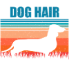 Dachshund