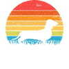 Dachshund
