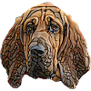 Bloodhound Face