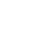 Faustball Trainer Definition