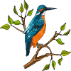 Bunter Vogel