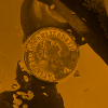 Orange coin