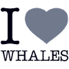 I LOVE WHALES