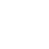 Lyon