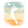 Volley-ball