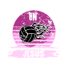 Volley-ball