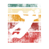 Handball Handball Player