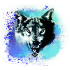 wolf,blue,dog,husky,dog,painting,graffiti
