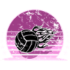 Volley-ball