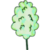 Barbe à papa vert