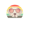 Golden Retrievers