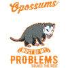 Opossum Gift Possum Marsupial