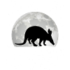 Aardvark Lune