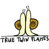 true twin flames