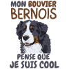 bouvier bernois