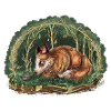 Fox and mouse