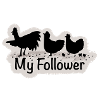 My Follower