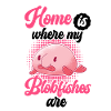 Thuis is waar mijn blob vis Blobfish is Blobfish