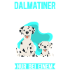 Dalmatian Dog Dog Owner Gift