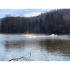 Water Nature