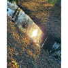 Water Nature