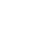 Guyana map flag