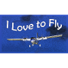 I love to fly