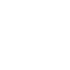 Iran map flag