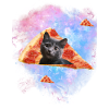 astrocat