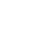 Lithuania map flag