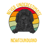 Newfoundland Newfoundland Dog