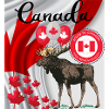 Canada, maple leaf.
