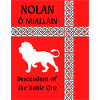 Nolan surname