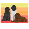 Terre-Neuve Chien de Terre-Neuve