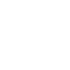 Leiden coordinates