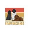 Newfoundland Newfoundland Dog