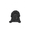Newfoundland Newfoundland Dog