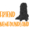 Newfoundland Newfoundland Dog