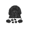 Newfoundland Newfoundland Dog