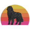 Terre-Neuve Chien de Terre-Neuve