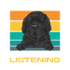 Newfoundland Newfoundland Dog