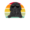 Newfoundland Newfoundland Dog