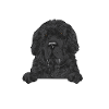Terre-Neuve Chien de Terre-Neuve