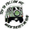 SEGUIMI QUANDO NON C'È STRADA - 4X4 DEFENDER